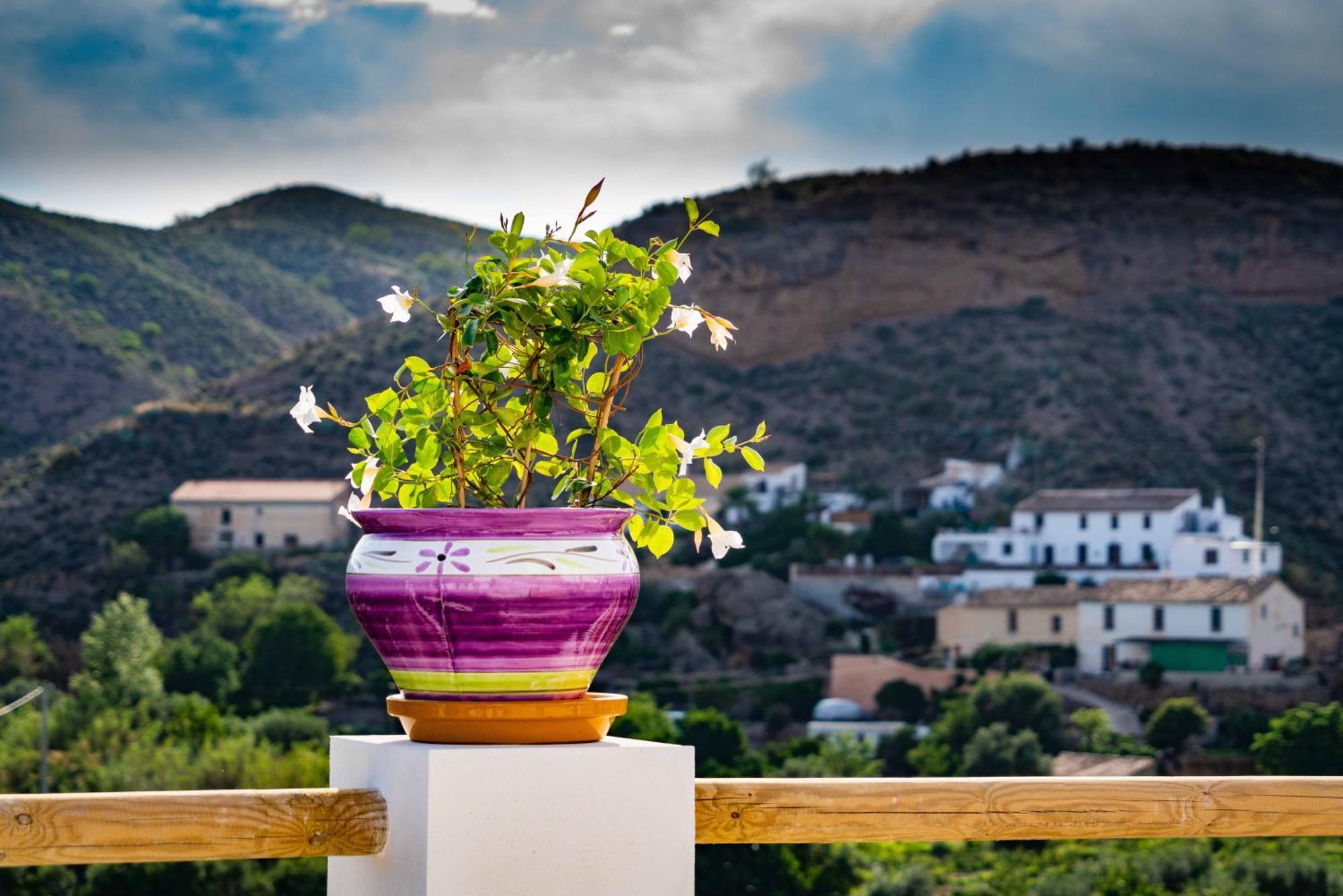 Rambla Retreats Apartment Rojo With Shared Pool & Hot Tub Stunning Views In Oria Kültér fotó